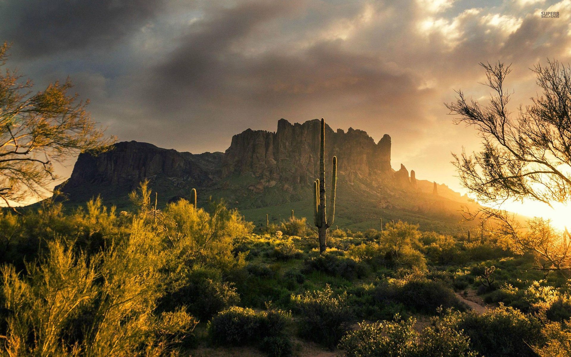 Flagstaff, AZ | 2020 Top 100 Best Places to Live | Livability
