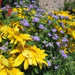 Garden Care
