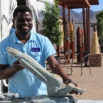 Arizona Artists