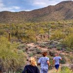 McDowell Sonoran Preserve