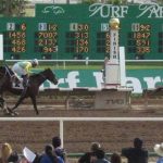 Turf Paradise