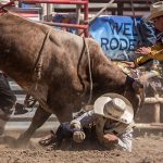 bull riders