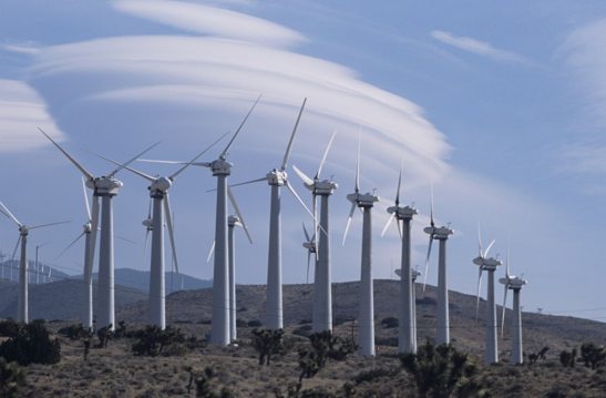Google Buys Wind Power