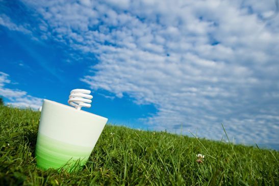 Green News Roundup- Alternative Energy Sources, Bioplastics and more