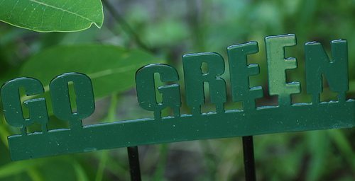Go Green 2011