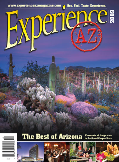Experience Arizona, 2009