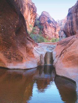 Red Cliffs Reserve, Explore Utah, Arizona Getaway Destination