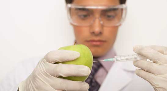 Genetically Modified Foods, GMO