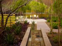 Scottsdale Healthcare Healing Garden