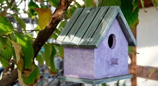 artist-made bird feeders