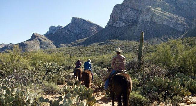 Hilton Tucson El Conquistador opens 18-horse stable | AZ ...
