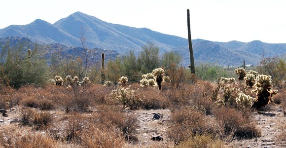 McDowell Sonoran Preserve, Photo: Flickr, Dru Bloomfield - At Home in Scottsdale