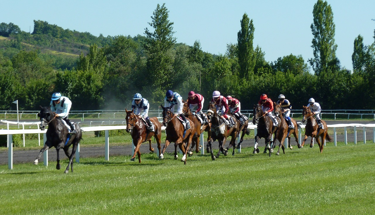 horse racing - How To Be More Productive?