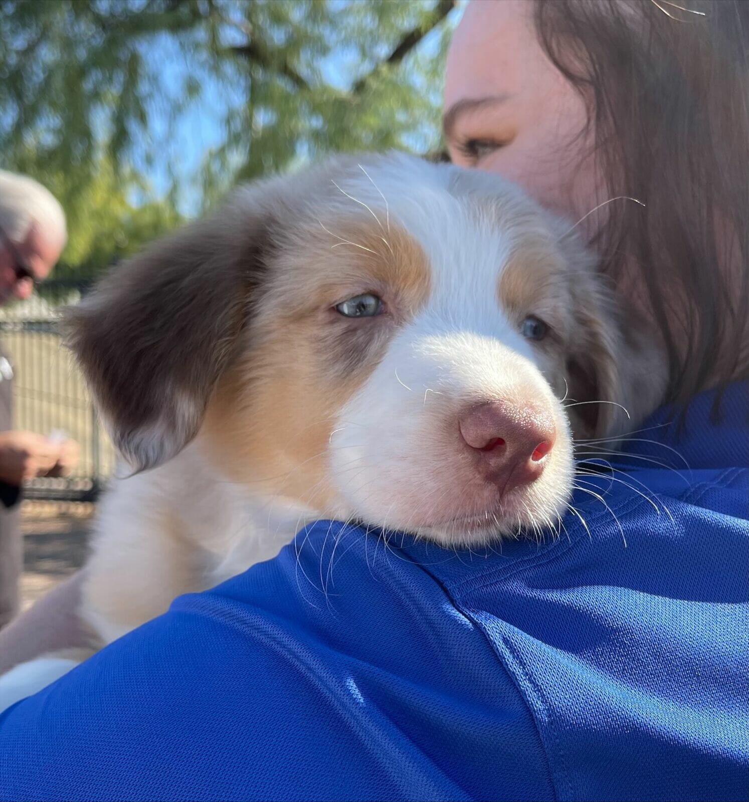 Arizona Humane Society breaks ground on Papago Park Campus AZ Big Media