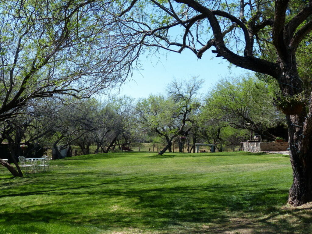 Arbor-2