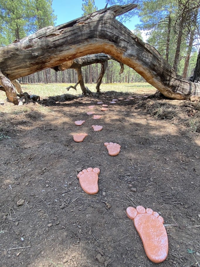 The Barefoot Trail