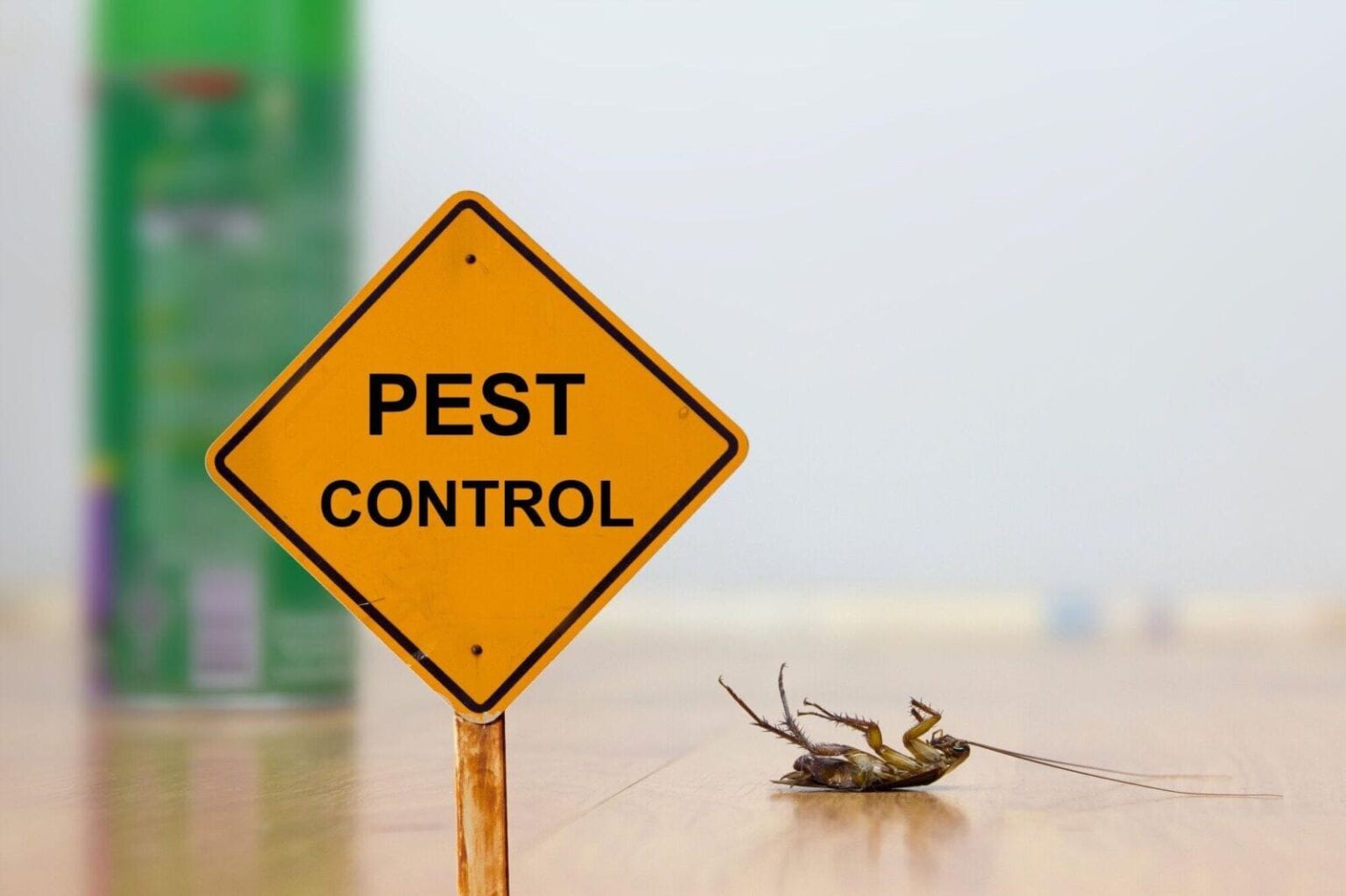 7 best pest control companies in Melbourne AZ Big Media