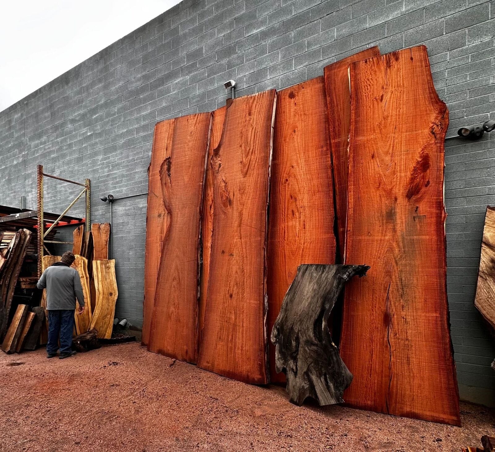 Wespac recycled tree slabs