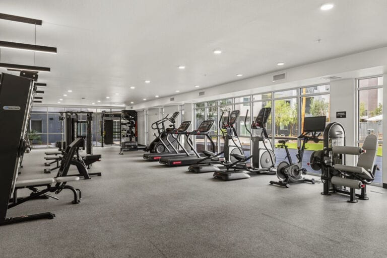 Lucero Gym 15
