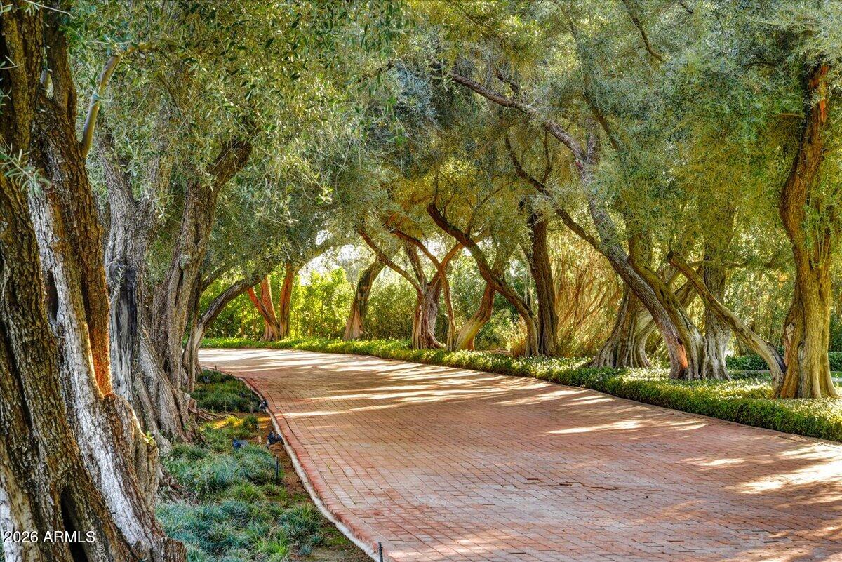 20260117195506436175000000-o