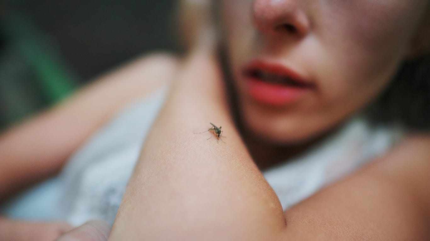 Here’s why Arizona faces greater risk with mosquitoes in 2026