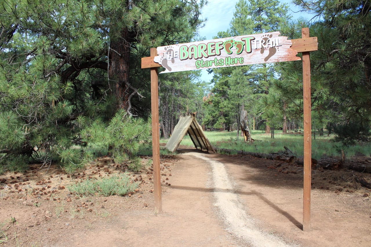 The Barefoot Trail 1