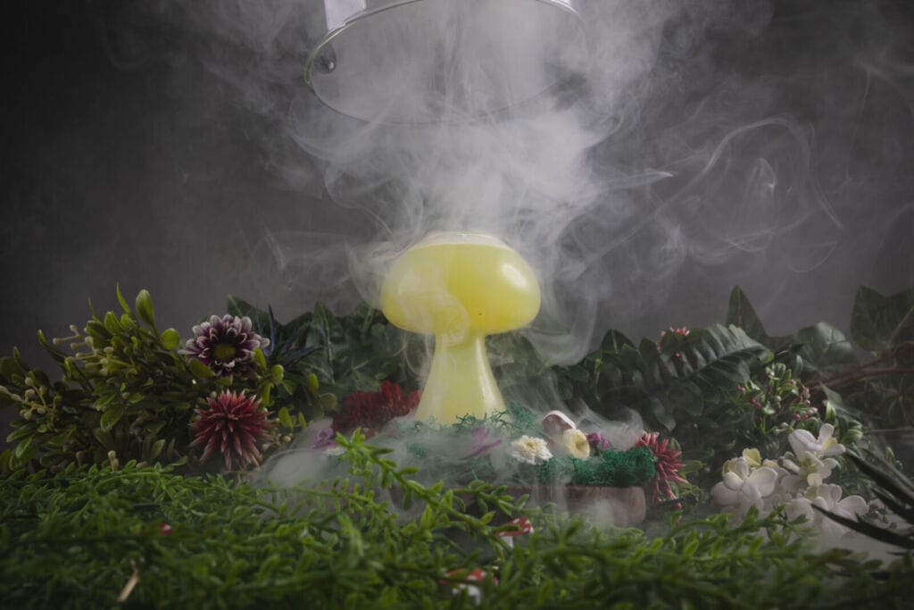 Magic Mushroom (1)
