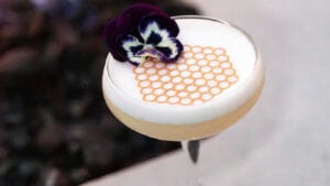 Andaz honey program turns beehives into a culinary and wellness showcase