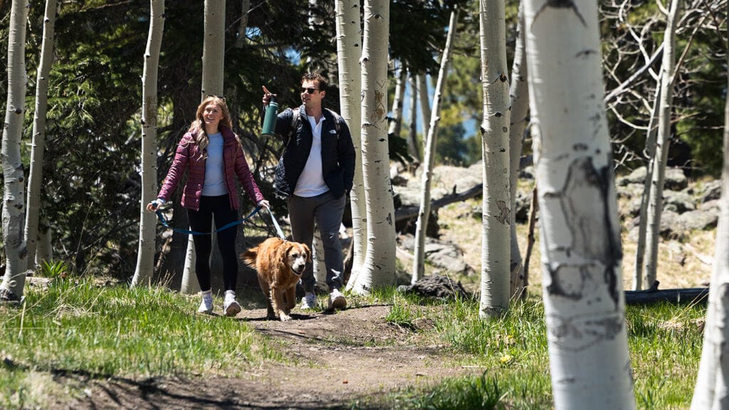 Village Camp Flagstaff: Disconnect to reconnect in the high country