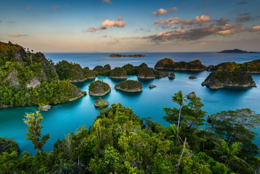 One trip, two ocean worlds — Bali warm-up, Raja Ampat diving liveaboard main event