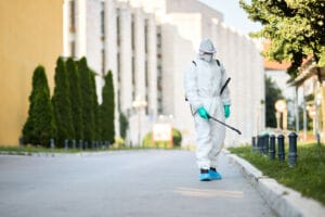 Why pest management is an important part of property maintenance