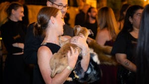 ‘Vanity Fur’ has flair and full hearts at Wrigley Mansion